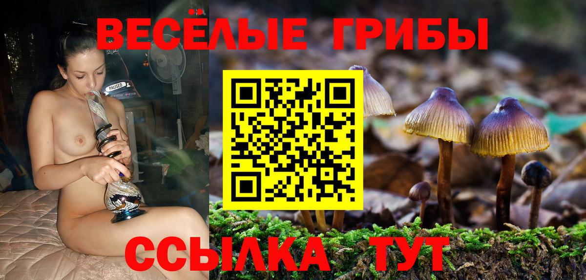 Псилоцибиновые грибы мицелий Тында
