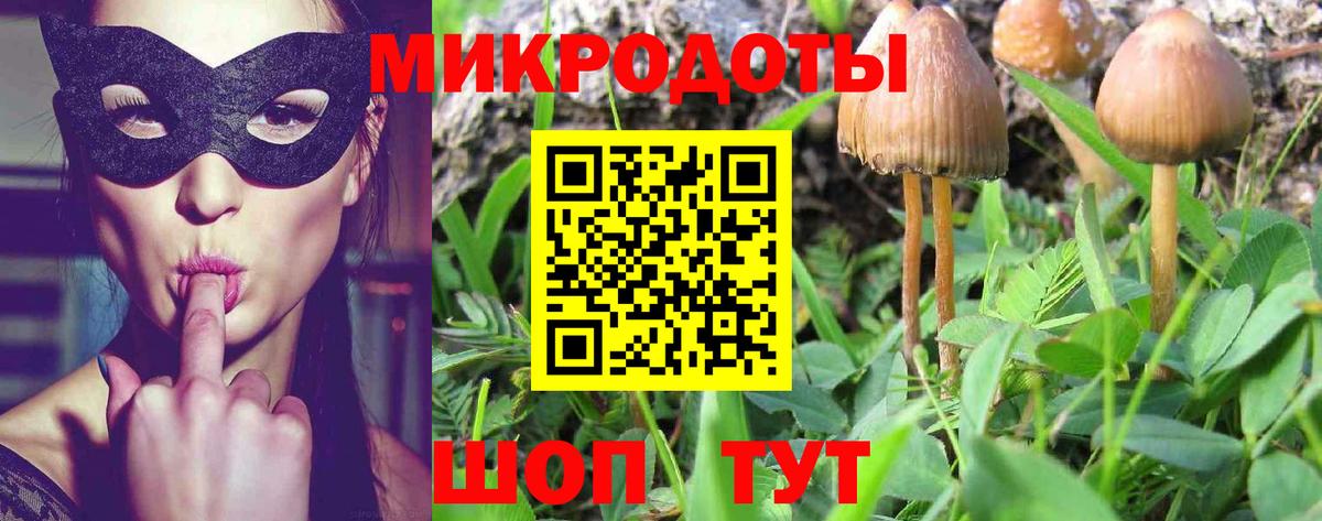 Тында  Псилоцибиновые грибы Psilocybine cubensis  Вход с VPN 